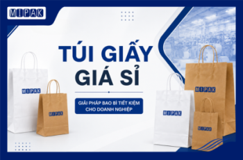 Túi Giấy Giá Sỉ – Cách Lựa Chọn Nhà Cung Cấp Uy Tín Cho Doanh Nghiệp